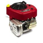 Briggs & Stratton 21R707-0047-G1 Vertical Shaft Engine