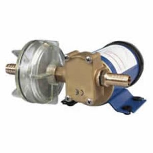 Self-Priming Transfer Pump for Nonflammable Liquids - 12/24V