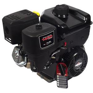 Briggs & Stratton 19N132-0035-F1 1450 GT Series Engine Parts