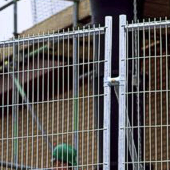 Site Fencing Accessories Site Fencing Accessories