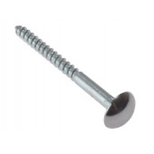 Mirror Screws