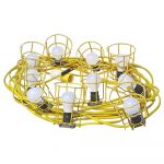 Festoon Lights
