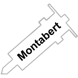 Points & Chisels for Montabert