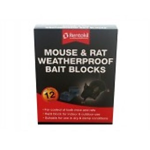 Rodent Control Rodent Control