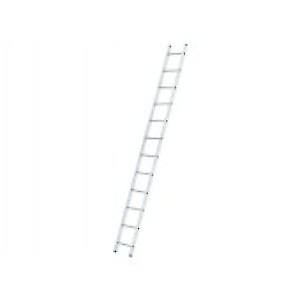 Single Ladders