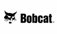 bobcat_1_24.jpg
