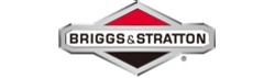 briggs-stratton_10_35.jpg