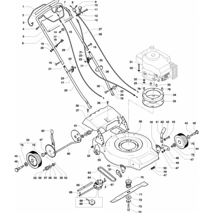 main product photo