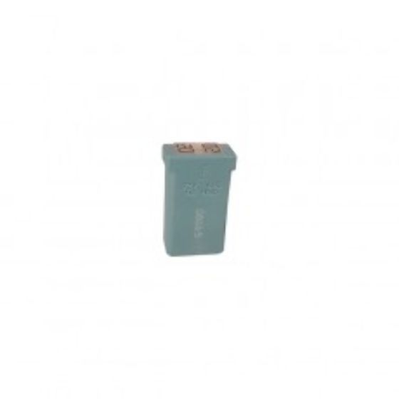 20 Amp Blue Mcase + Cartridge Type Fuse - (Pack of 10) - 1-379-09