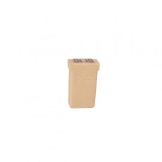 Natural Mcase + Type 25A Fuse (Pack of 10) - 1-379-10