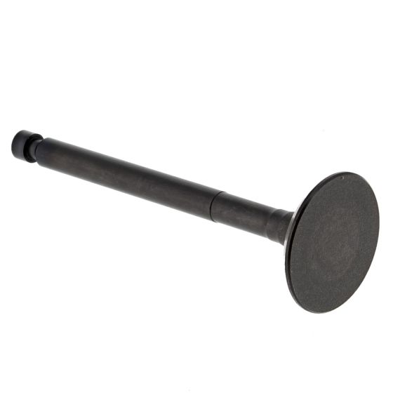 Valve, Exhaust for Yanmar L60AE, L70AE Engines - 114350-11113