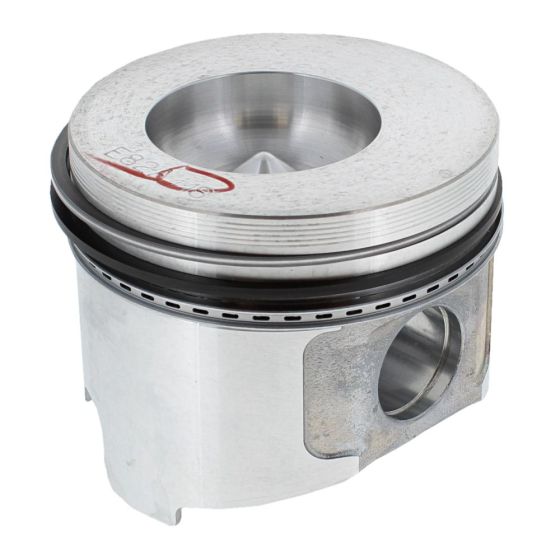 Piston Assy for Yanmar 3TNE82A-ETB Engine - OEM No. 119813-22080