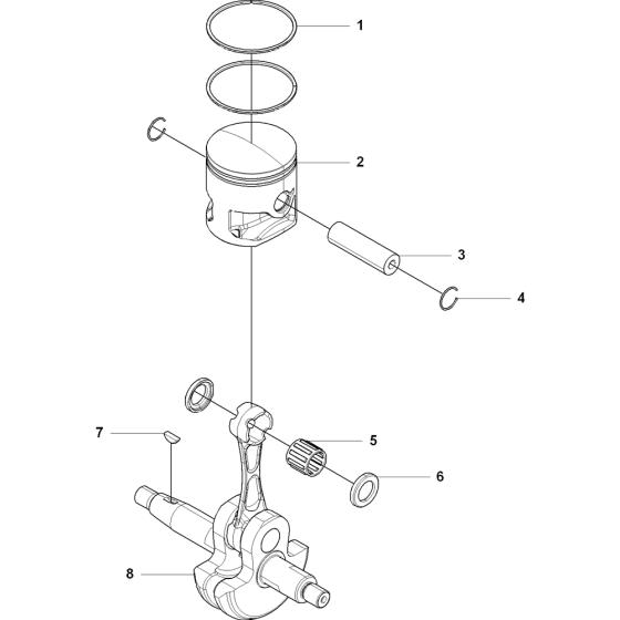 Piston & Crankshaft Assembly