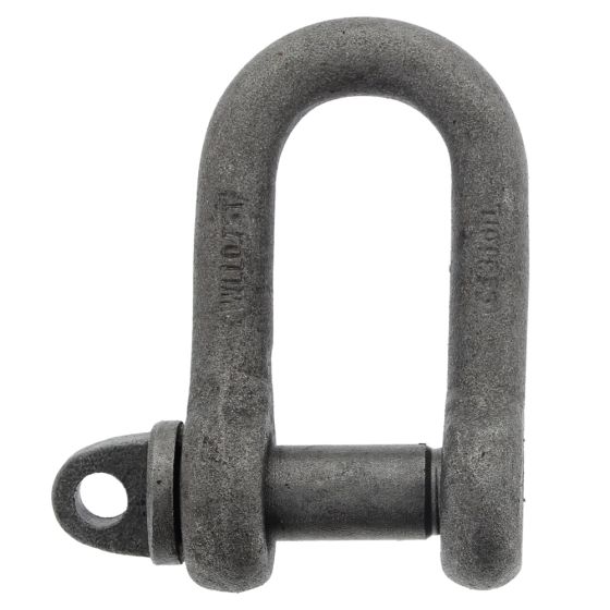 Alloy Steel D Lifting Shackles
