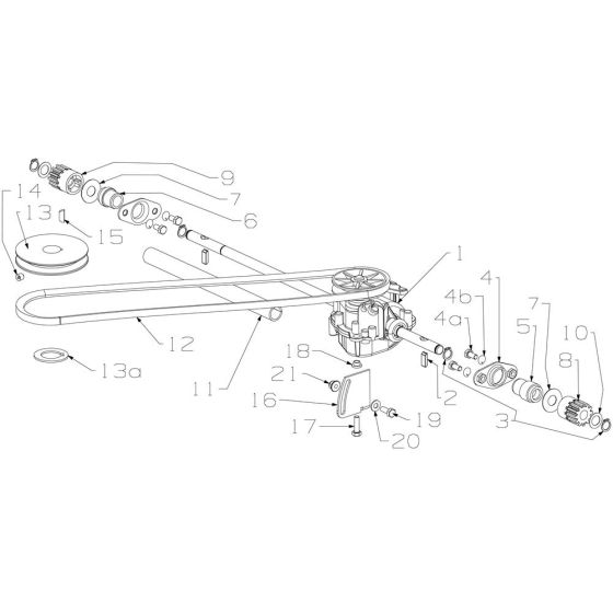 Gearbox Assembly for Masport 250ST