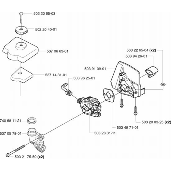 Carburetor & Air Filter