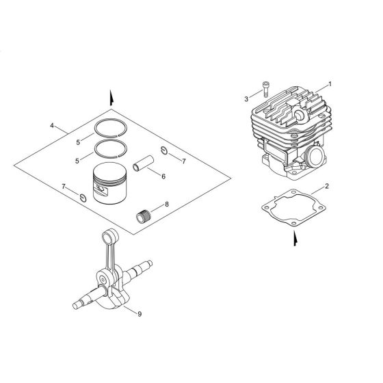 Shindaiwa 491S Chainsaw Parts