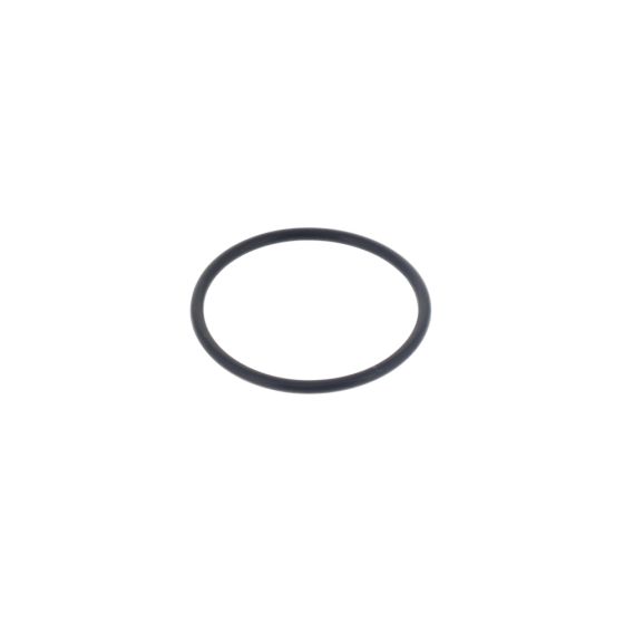 Seal-O Ring for Briggs & Stratton 31R907 Engines - OEM No. 697123