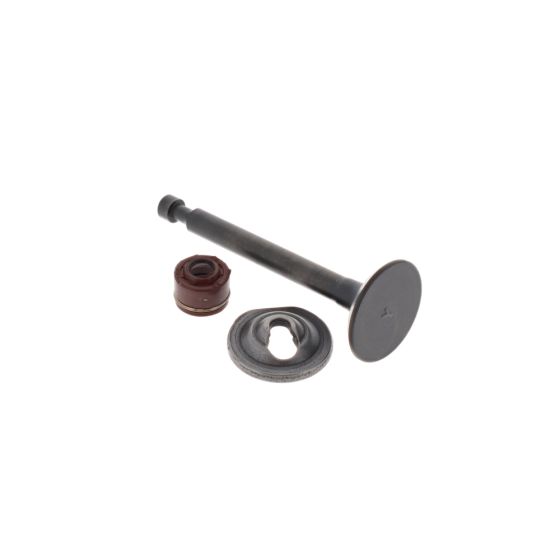 Valve-Intake - Briggs & Stratton - 797198