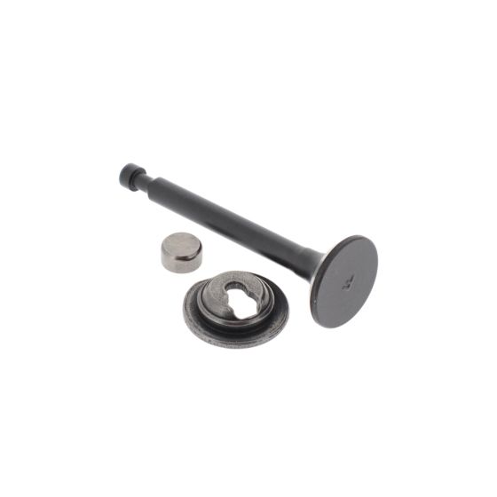 Valve-Exhaust - Briggs & Stratton - 797199