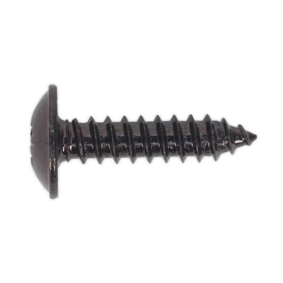 Self Tapping Screw 4.8x19mm Flanged Head Black Pozi BS 4174 - 100 Pack