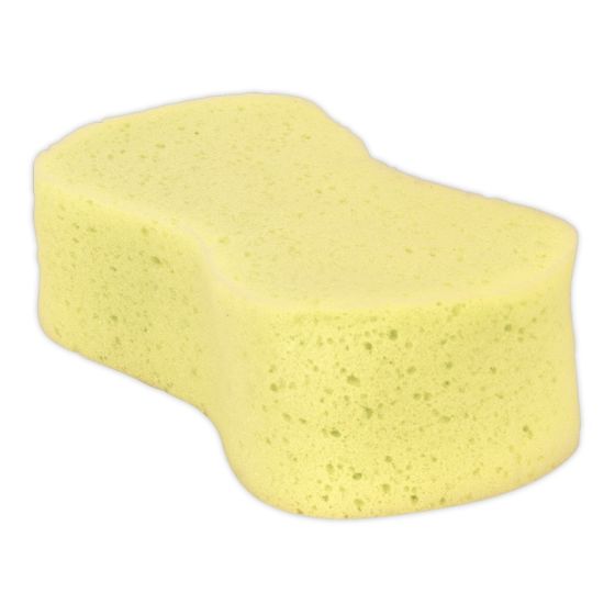 Compressed Sponge Sealey Part No. CC64