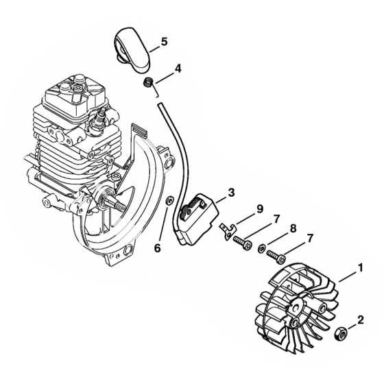 FS100 FS110 Ignition System