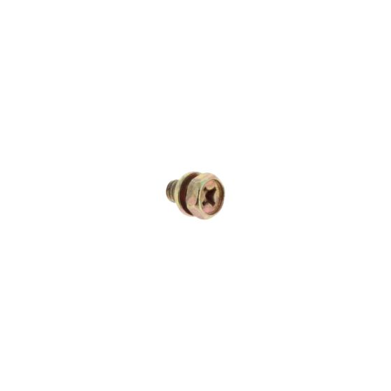 Bolt & Washer for Robin EC10 Engine - OEM No. 001-16061-00