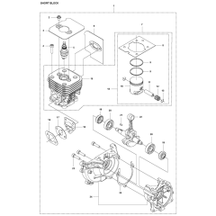 Short Block Assembly for 525LST