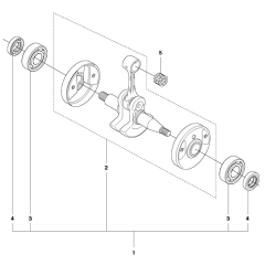Crankshaft Assembly for 555FXt