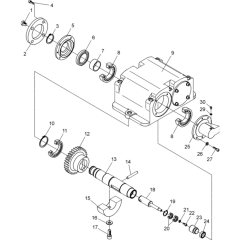 Exciter Assembly for Wacker