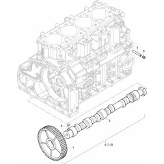 Camshaft Assembly for HATZ