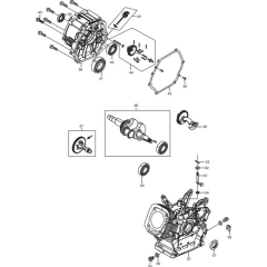 Crankcase Assembly for EG4550A