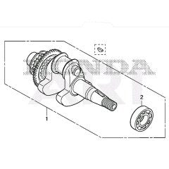 Crankshaft for Honda EU22i