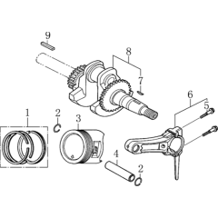 Crankshaft & Piston Assembly