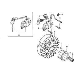 Flywheel & Ignition Coil Assembly