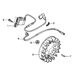 Flywheel & Ignition Coil