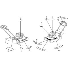 Honda HRG536C1 Mower Label