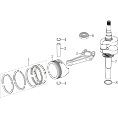 Crankshaft/Piston Assembly