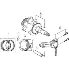 Crankshaft & Piston Assembly