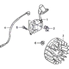 Flywheel & Ignition Assembly