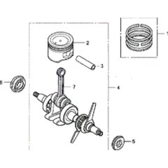 Crankshaft & Piston Assembly