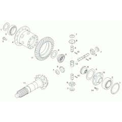 Differential Axle Assembly