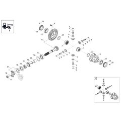 Differential Axle Assembly