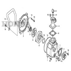 Honda WX10 Water Pump Assembly