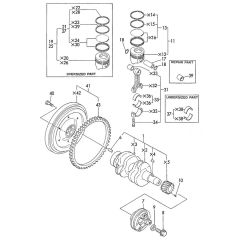 Crankshaft, Piston Assembly for Yanmar 2TN66E-YL Engine