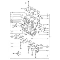 Cylinder Block Assembly for Yanmar 3TN100E-SMD Engine