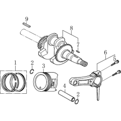 Crankshaft/Piston Assembly