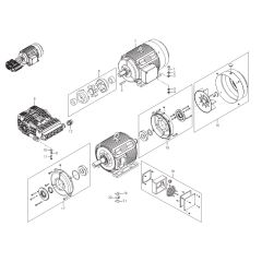 Motor, Coupling Assembly for Nilfisk