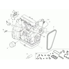 Engine Assembly for Neuson 1001